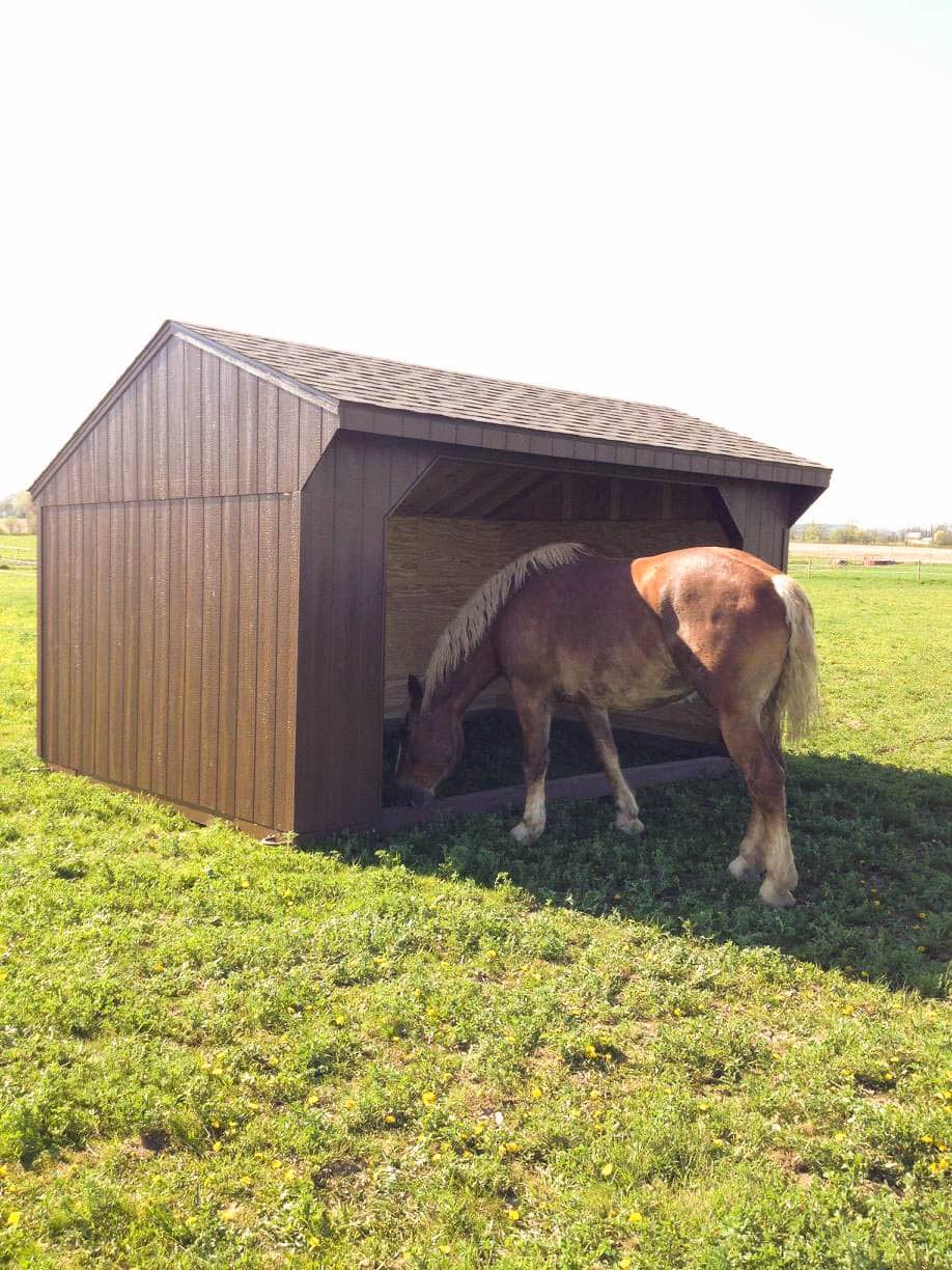 small barn storage sheds near Batavia Run in Sheds In Buffalo NY