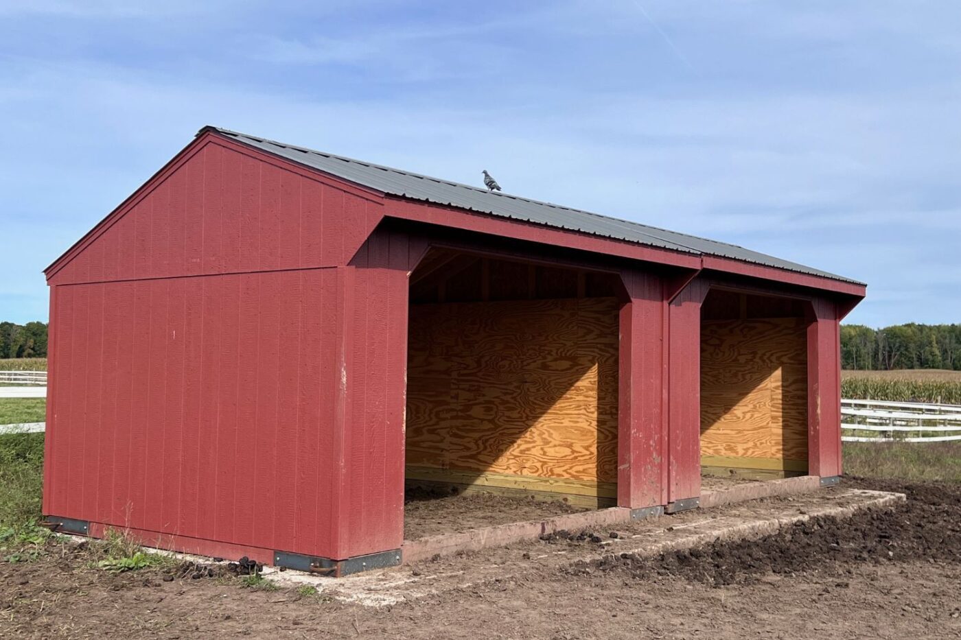 Run in Sheds In Hamburg NY