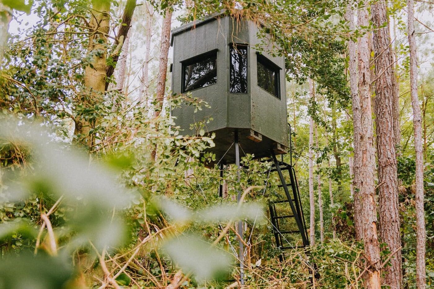 elevated green hunting box sheltered by the foliage