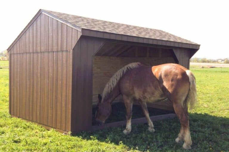 loafing shed with tack rooms