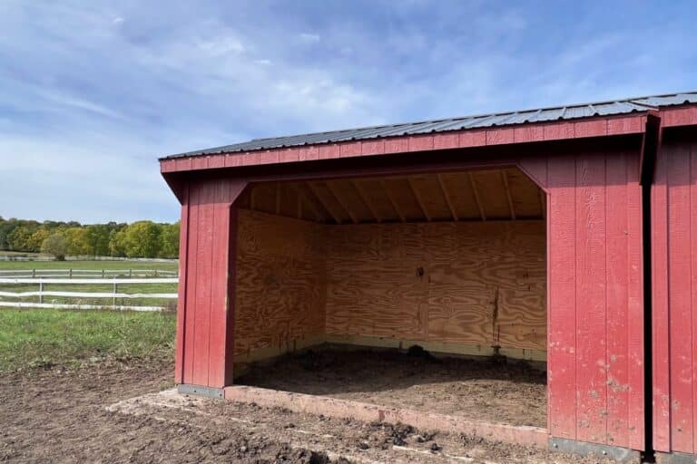 run in loafing sheds