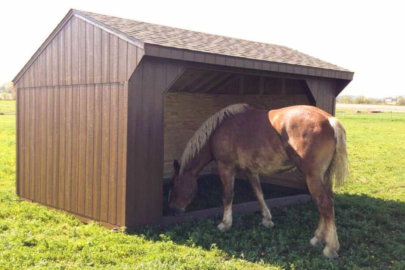 loafing sheds