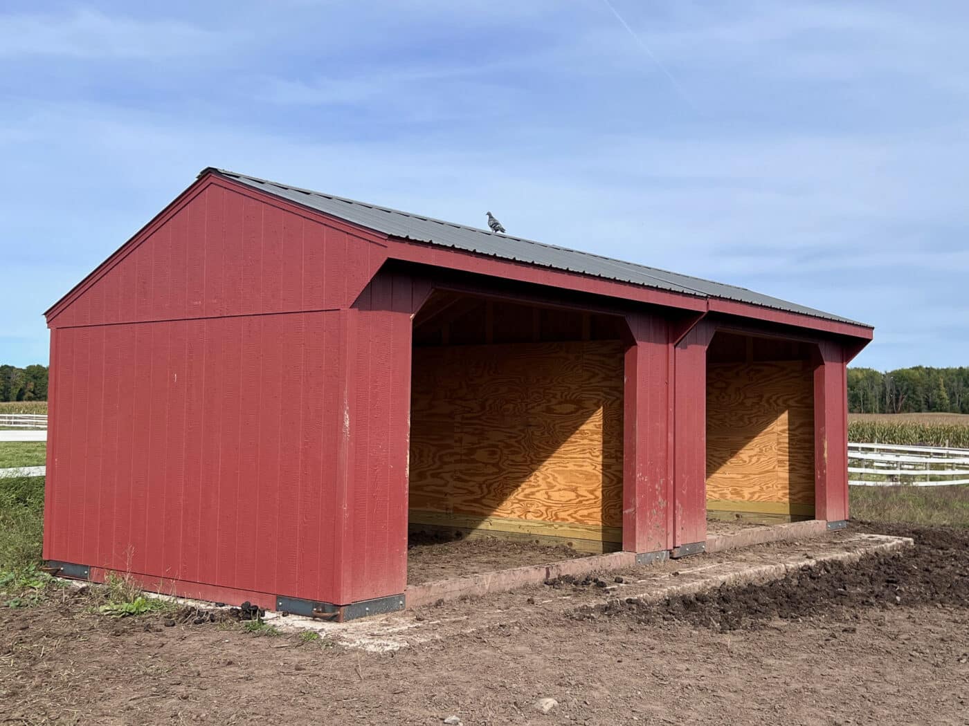 Run in sheds near Castile NY